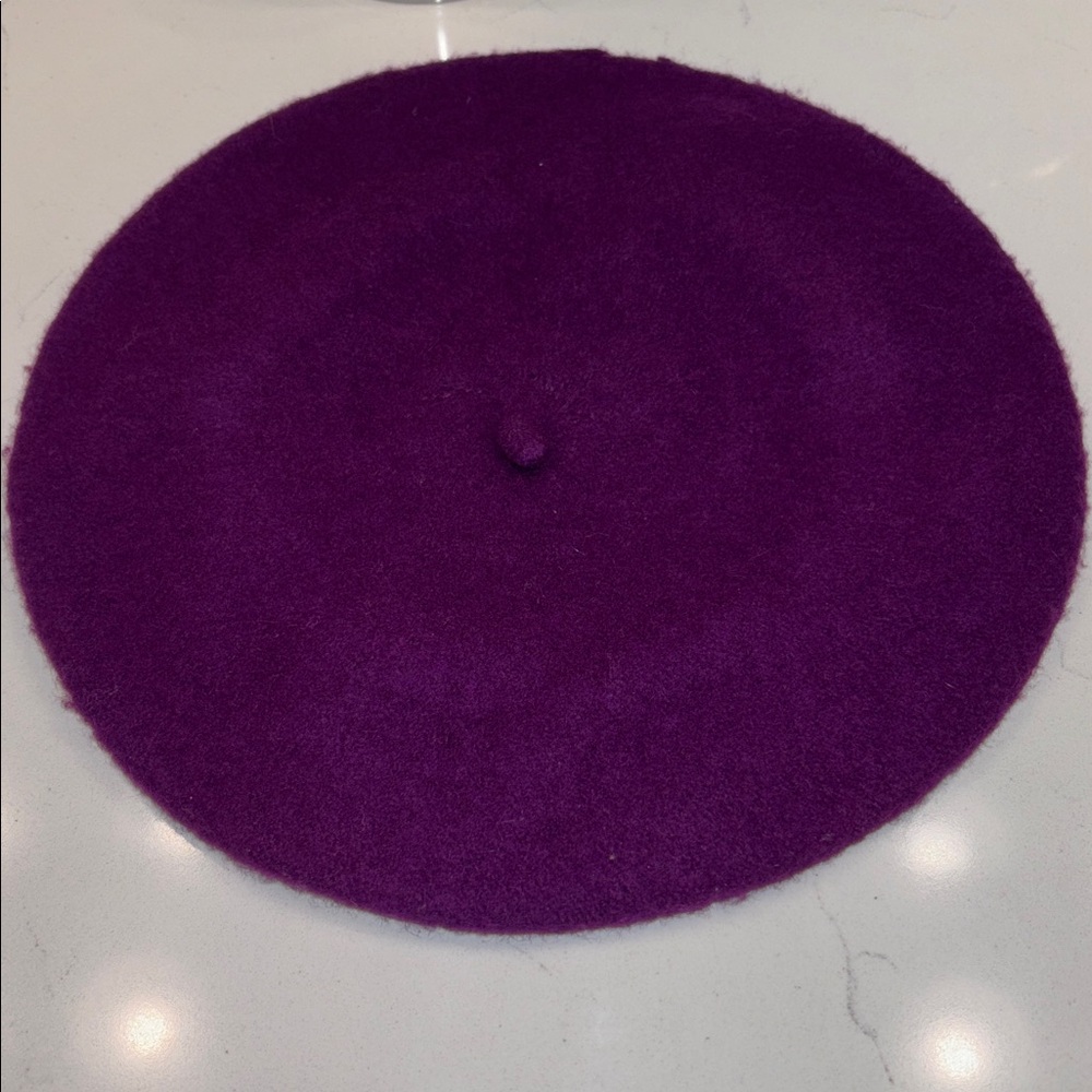 Elegant Burgundy Beret